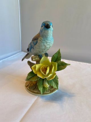 Vintage Mountain Bluebird Porcelain Figurine Andrea By Sadek