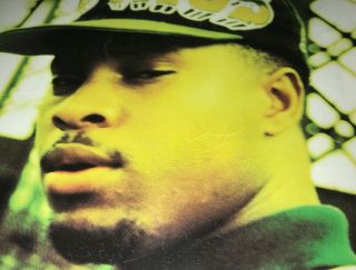 vintage 1994 Indo G & Lil Blunt Antidote PROMO POSTER 19x24in RAP Luke Records 2