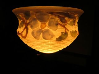 Antique/vintage Frosted Glass Reverse Painted Basket Weave Pattern Shade