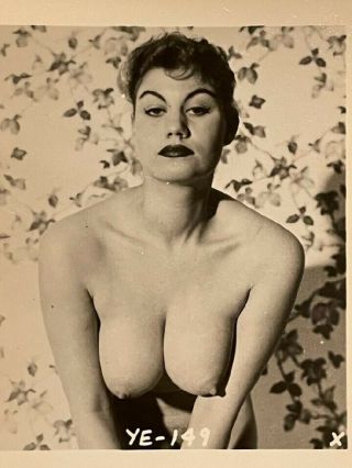 Vintage 50s Photo Bettie Page Era Model June Wilkinson Big Tits Nipples Risque