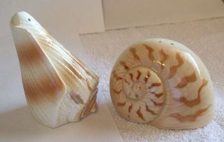 Vintage Ceramic Otagiri Sea Shell / Snail Salt & Pepper Shakers