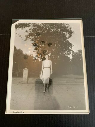 Vintage Ava Gardner Black And White Photo