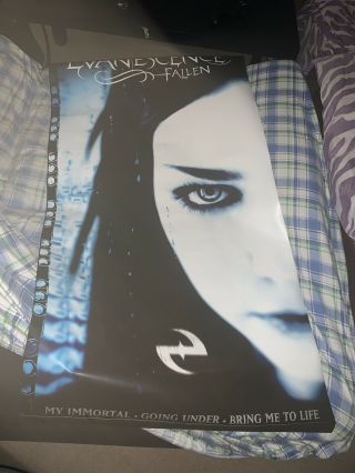 Evanescence Dual Sided Vinyl Store Poster Rare