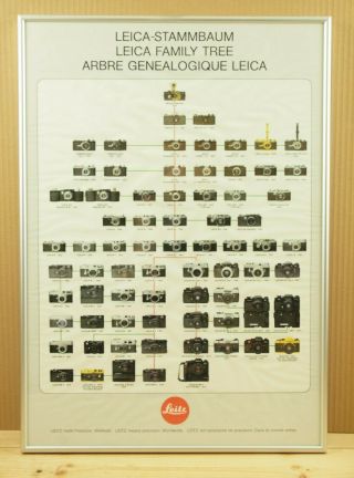 Vtg Leitz Leica Stammbaum Family Tree 1913 - 1979 Poster Framed Professionally