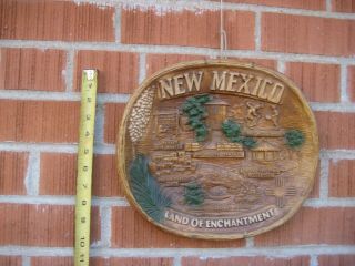 Vintage 10 " Diameter Mexico Taco Faux Wood Wall Hanging Tray Bowl Usa