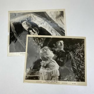 Vintage Photo Movie Still Curse Of The Undead 1959 Michael Pate Kathleen Crowley