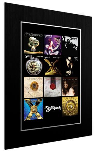 Mounted / Framed Print Whitesnake Discography 3 Sizes Poster Gift Art Band