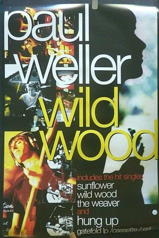 Rare Paul Weller The Jam Wild Wood 1993 Vintage Orig Promo Music Store Poster