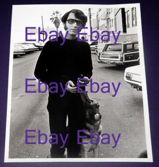 Vintage 1967 Raybert Photo - The Monkees Mike Nesmith On Set W/his Dog