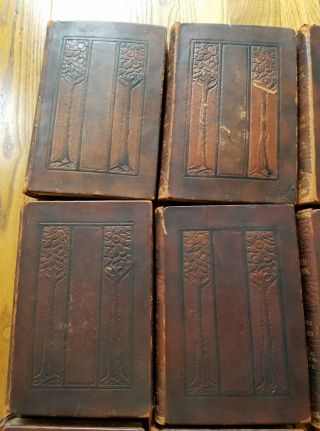 Luther Burbank Methods and Discoveries Leather Bound Signed First Edition 1 - 12 5