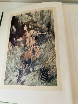 The Secret Garden by Frances Hodgson Burnett Illustrated Charles Robinson 3