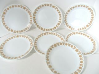 Vintage Corelle Butterfly Gold Dinner Plates 10 1/4 " Set Of 7 Dish Corning Usa