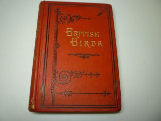 1880 A History Of British Birds By Rev.  F.  O.  Morris,  Vol Iii,  54 Color Engraving