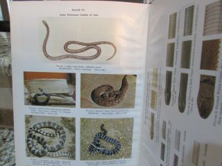 VINTAGE POISONOUS SNAKES OF THE WORLD FOR U S AMPHIBIOUS FORCES Book Very Good 3