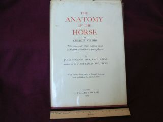 Anatomy Of The Horse; George Stubbs; Publ.  London By J.  A.  Allen & Co. ,  1965