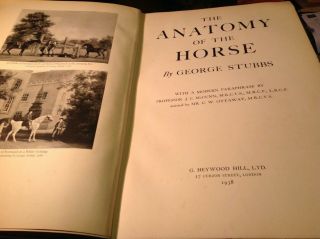 Stubbs.  The Anatomy Of The Horse.  Large Folio.  Plates.  1938