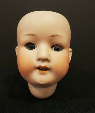 Antique German Bisque Doll Head Heubach Koppelsdorf 302/0 Germany