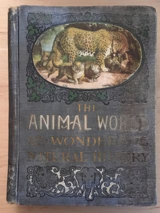 Vintage Hardback The Animal World Or Wonders Of Natural History 1901 H Davenport