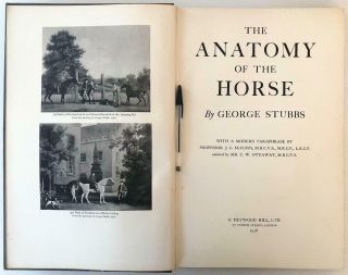 1938 Stubbs ANATOMY OF THE HORSE Hippology Bones Muscles Diagrams 37 Plates 2