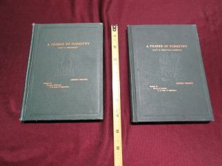 Two (2) Volumes,  1903 & 1905,  A Primer Of Forestry,  By Gifford Pinchot Vg,  Hc 