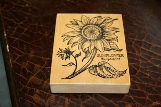 Psx K - 025 Botanical Sunflower Compositae Rubber Stamp Wood Mount Floral Vintage