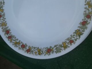 3 Spice Of Life Dinner Plates (Corelle) by Corning 10 - 1/4 