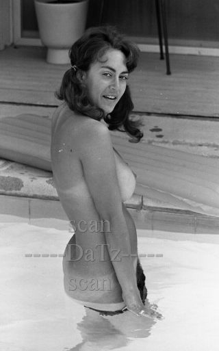 Vintage 1960s Negative - Busty Nude Brunette Pinup Girl Marsella - Cheesecake T73318
