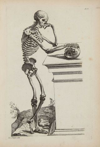 Vintage Anatomy Medical Human Skeleton Painting Chart Real Canvas Art Print