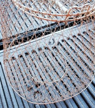 VINTAGE Collapsible Metal Wire Mesh Live Fish Basket Sportfisher Net Trap 3