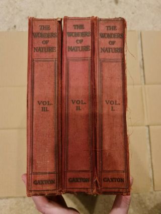 The Wonders Of Nature Vol I / Vol Ii / Vol Iii - 3 Books - Caxton Publishing