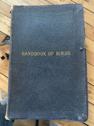 Handbook Of Birds By Frank M.  Chapman 1906