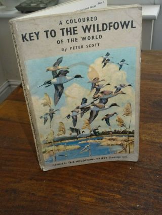 1957 A Coloured Key To The Wildfowl Of The World - Peter Scott Birds Ornithology
