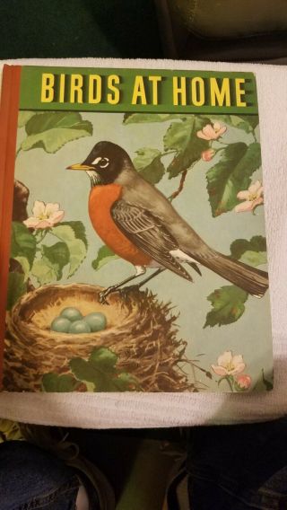 Vintage 1942 Birds At Home - Hardcover Book By Marguerite Henry