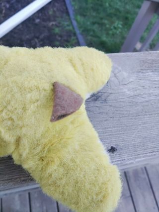 Vintage Rubber Face Yellow Dog or Whatever it is? Rushton? My Toy? 3