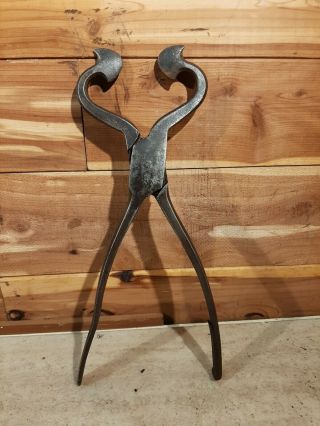 Antique 18th Century Colonial Wrought Sugar Nips Iron Nippers Snips Rare Tool