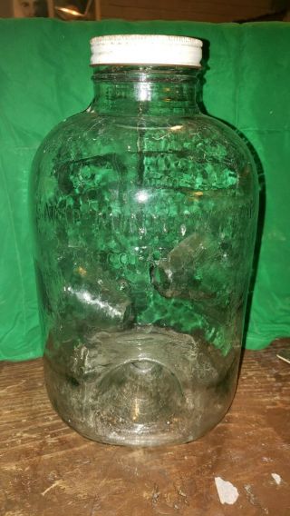 Vintage Glass Embossed Camp Minnow Trap - Glass Jug Jar 2