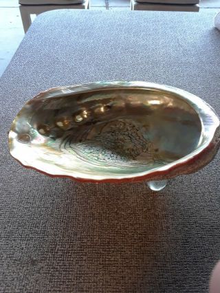 Vintage Abalone Shell With Lucite Feet Footed Trinket Bowl Soap Dish 8” X 6 "
