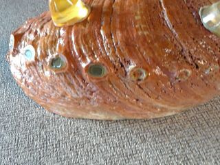 Vintage Abalone Shell with Lucite Feet Footed Trinket Bowl Soap Dish 8” x 6 