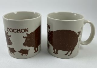 Vintage Taylor And Ng 1979 Cochon French Pig Coffee Mug Brown Japan Set Of 2