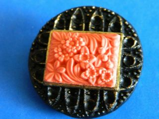 Antique Vtg Molded Wood Composition Button W Glass Flowers Faux Coral Marked Ann