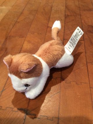 American Girl Doll Kitten Plush Stuffed Animal Cat 4 "
