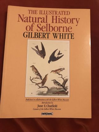 The Illustrated Natural History Of Selbourne Gilbert White Papermac 1984