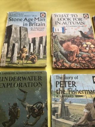 12 Ladybird Vintage Childrens Books Craft Collectable