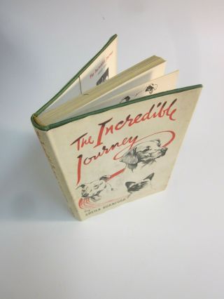 The Incredible Journey By Sheila Burnford British 2 Dogs Cat Travel 250 Miles