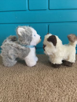American Girl Doll Pets Himalayan Cat and Pepper The Husky 2
