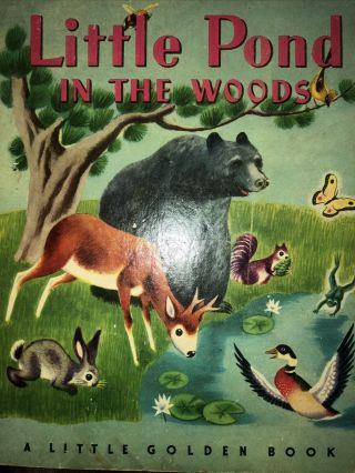 Vintage A Little Golden Children Book Pond In The Woods 1st Edition 1948