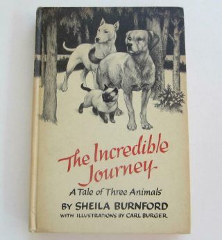 The Incredible Journey Sheila Burnford Tale Of Three Animals Dogs Cat Book Hb