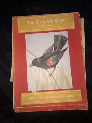 “the Birds We Know” By Ray Gleason