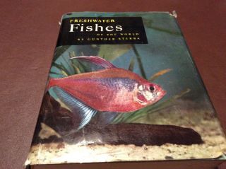 Freshwater Fishes Of The World By Gunther Sterba - Studio Vista - H/b D/w - 1967