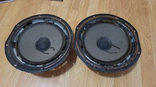 Acoustic Research Ar - 3a 12 " Alnico Woofer Need Foam Surround Repair.